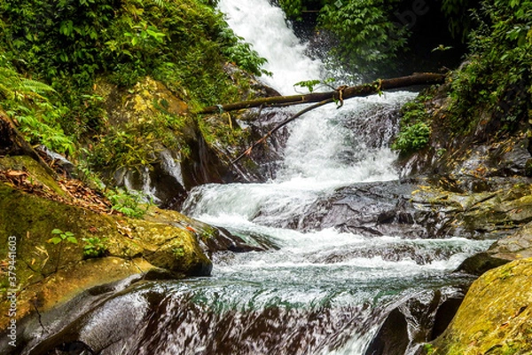 Obraz waterfall in the forest