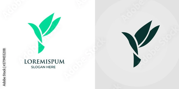 Obraz Flying Bird vector logo design on two background .Bird logo template vector illustration vintage minimal retro . Bird logo design 