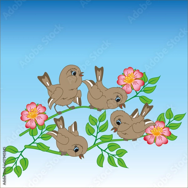 Fototapeta Sparrows on a branch