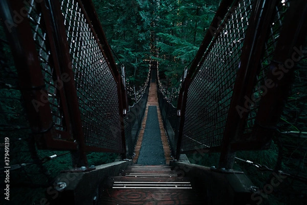 Fototapeta Bridge in the forest in Vancouver