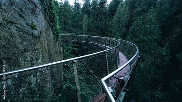 Obraz bridge in the forest of Vancouver