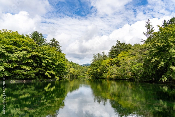 Fototapeta 軽井沢雲場池を散策