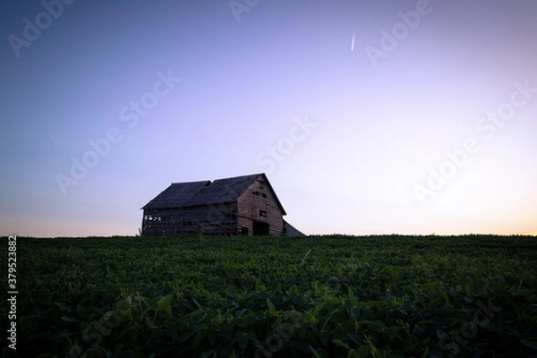Obraz barn in the field