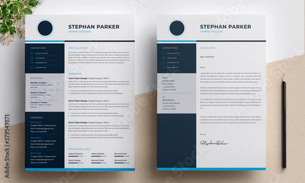 Fototapeta Professional Resume Template