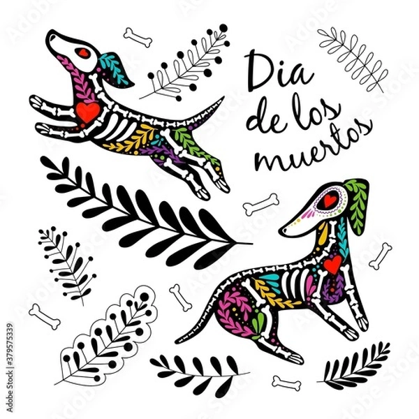 Fototapeta Vector colorful postcard. Dia de los Muertos, Day of the dead or Halloween concept. Dog skeletons with floral design, isolated on white background