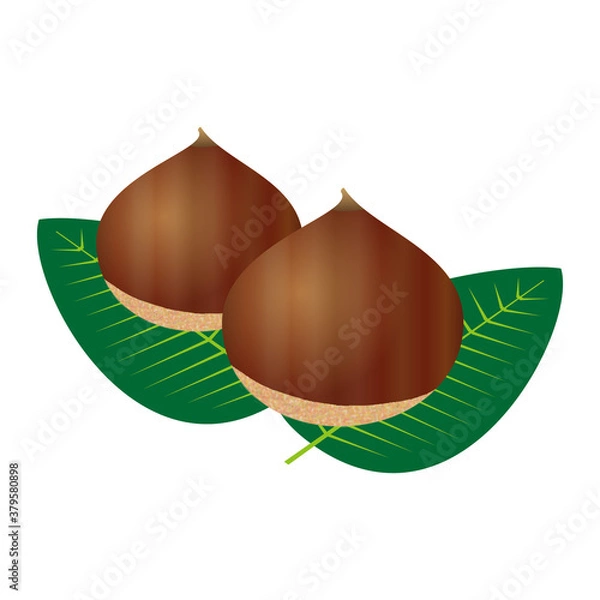 Obraz 栗のイラスト