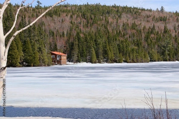 Obraz Lac gelé au Canada