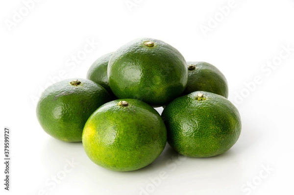 Fototapeta 青切り温州みかん