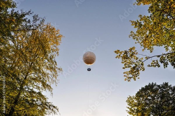 Fototapeta Balloon flight against the blue sky on a summer evening framed by trees.