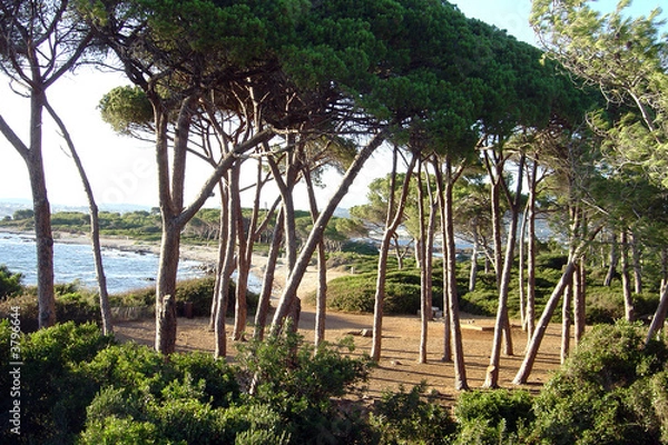 Obraz provence cote d'azur mediterranee iles lerins