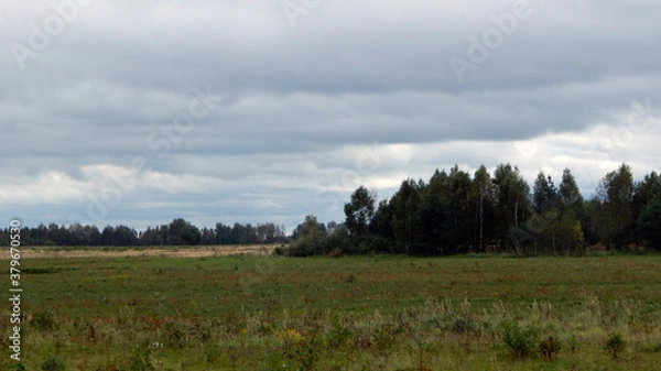Obraz landscape with forest and clouds