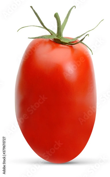 Obraz San Marzano, plum or Roma tomato  isolated on white background including clipping path.