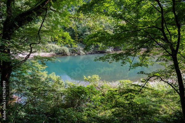 Obraz 抱返り渓谷