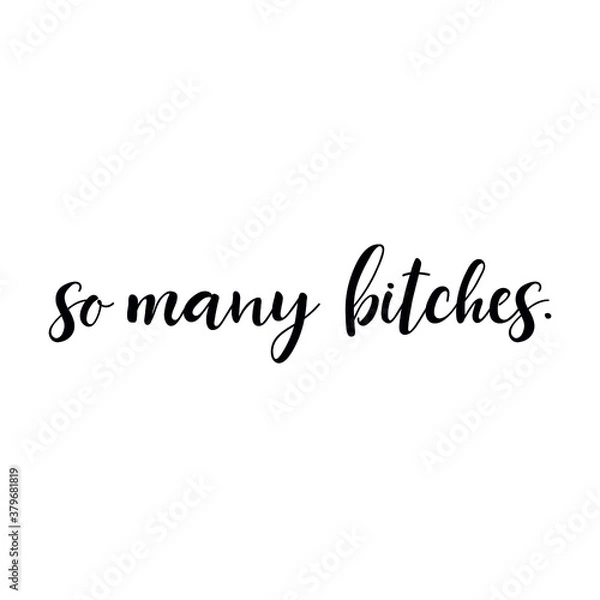 Fototapeta So many bitches. Vector illustration. Lettering. Ink illustration. t-shirt design