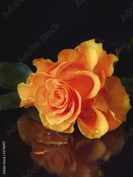 Fototapeta Tears driped