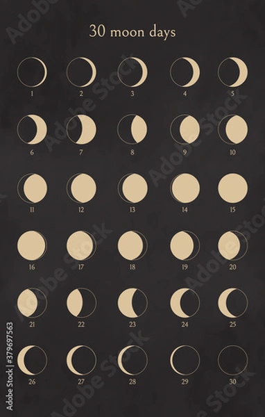Fototapeta Moon phases set. 30 Moon days calendar. Collection of design elements for icons, logotypes. Isolated outline symbols on black background. Vector illustration.