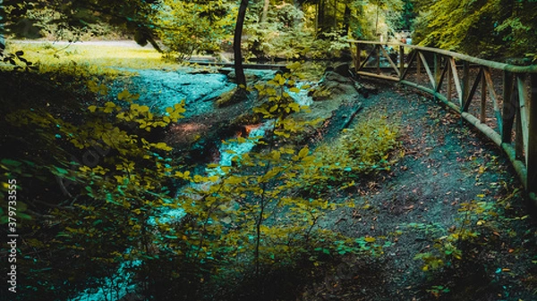 Fototapeta Kasinopark Bach