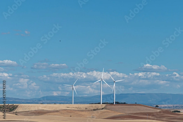 Fototapeta parque eólico molinos eólicos