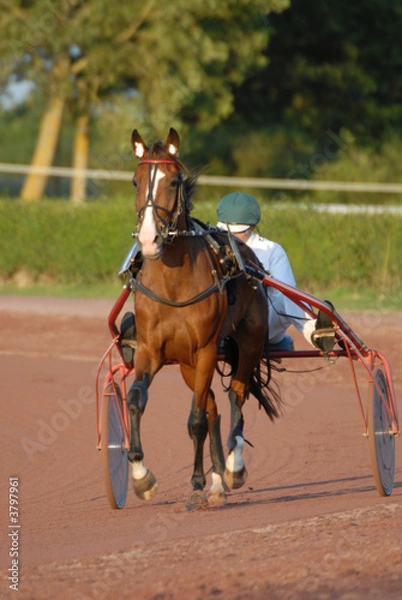 Obraz premières foulées en piste