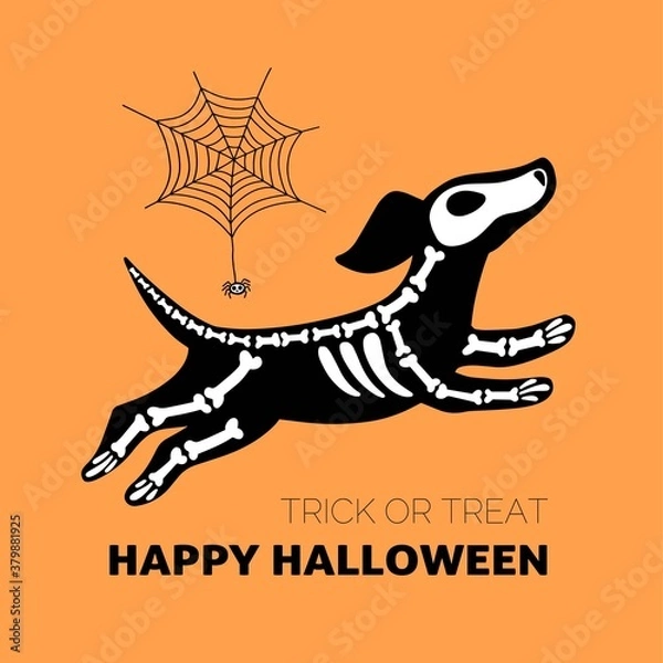 Fototapeta Vector Halloween postcard. Dog skeleton and spiderweb, isolated on orange background