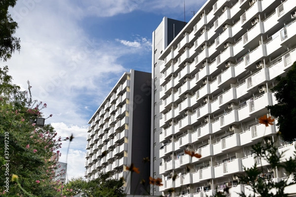 Obraz 市川市にある団地　千葉県　日本