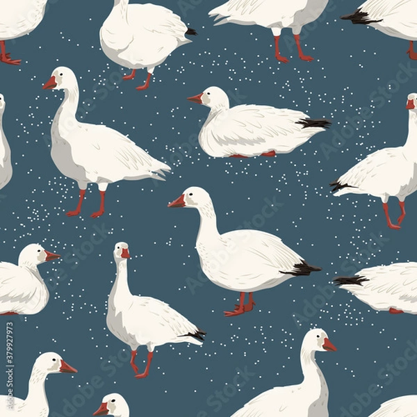 Fototapeta Seamless pattern with snow geese and snowfall. White arctic goose Anser caerulescens. Birds of the North, inhabiting Greenland, Alaska, Canada, Siberia and the Arctic. Vector illustration