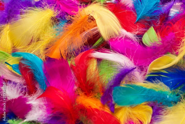 Fototapeta Colorful feather background.