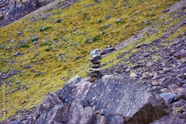 Fototapeta lizard on the rocks