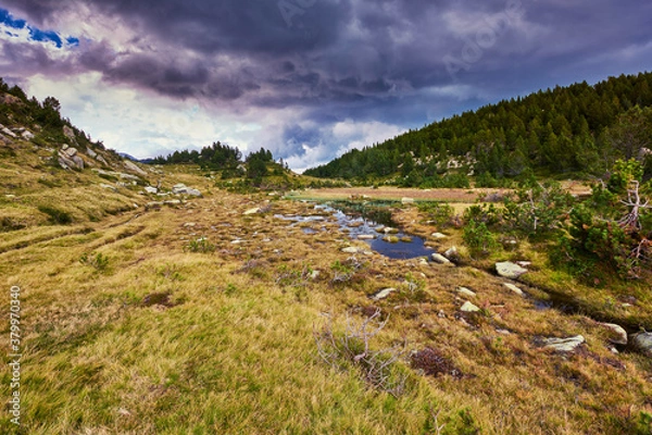 Fototapeta View of some mountains with pine trees under a stormy sky