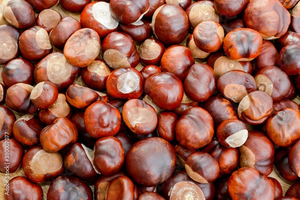 Fototapeta Kastanien