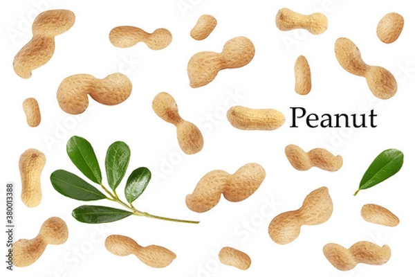 Obraz lots of peanuts in peel on white background