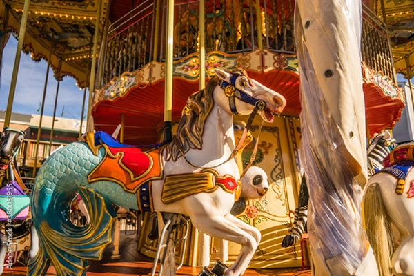 Obraz Carousel