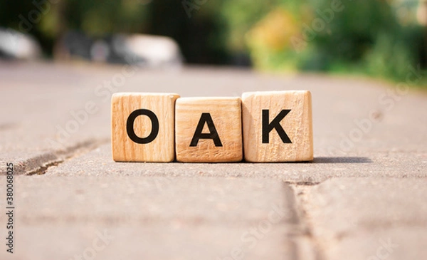 Obraz Word Oak from wooden blocks on the road