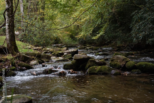 Obraz Nantahala Forest