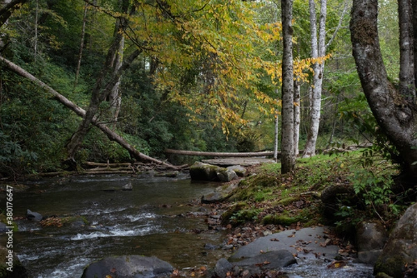 Obraz Mountain Stream