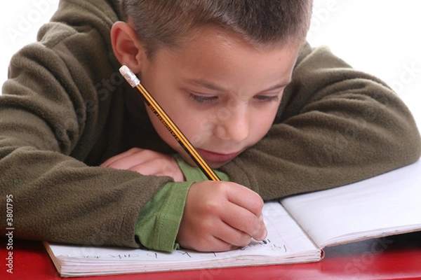 Obraz Boy doing homework