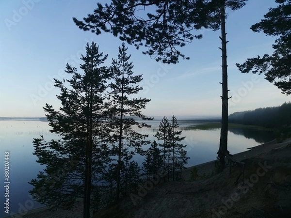 Fototapeta tree on the lake