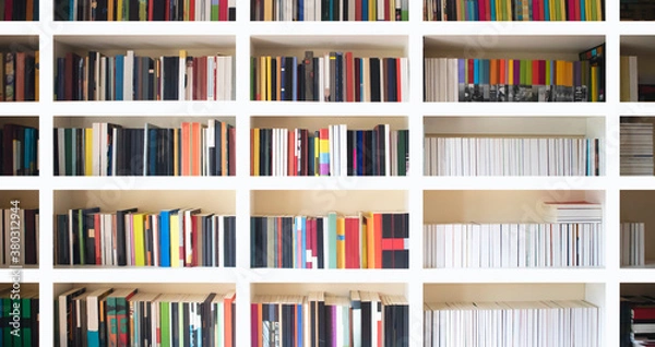 Fototapeta Home library wall. Clean and modern decoration background. Organized neat bookshelf room.