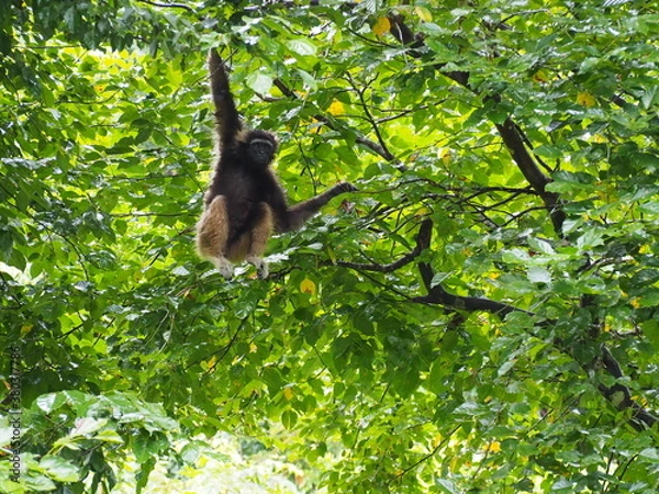 Obraz OLYMPUS DIGITAL CAMERA