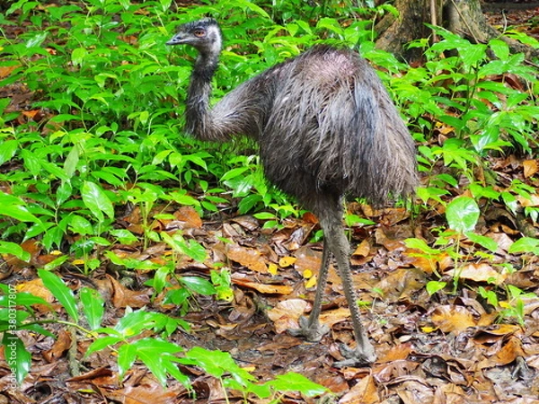 Obraz OLYMPUS DIGITAL CAMERA