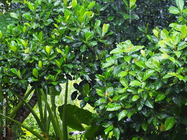 Obraz OLYMPUS DIGITAL CAMERA