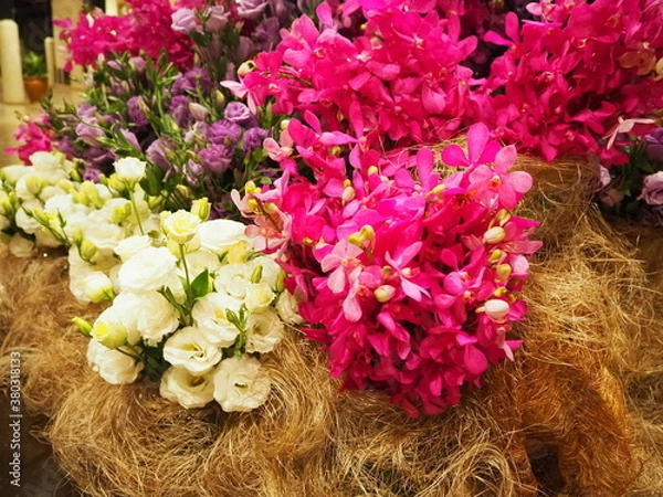 Obraz OLYMPUS DIGITAL CAMERA