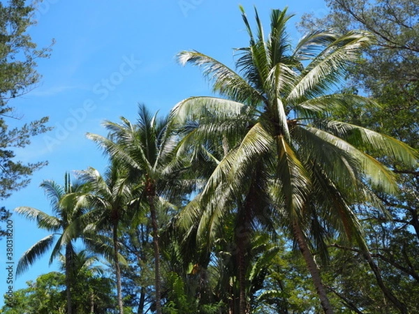 Obraz OLYMPUS DIGITAL CAMERA