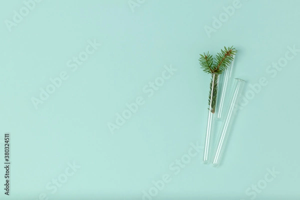 Fototapeta Minimalist Christmas composition of glass test tubes and a spruce sprig on a mint background with copy space. Top view, flat lay. Medical New Year's concept.
