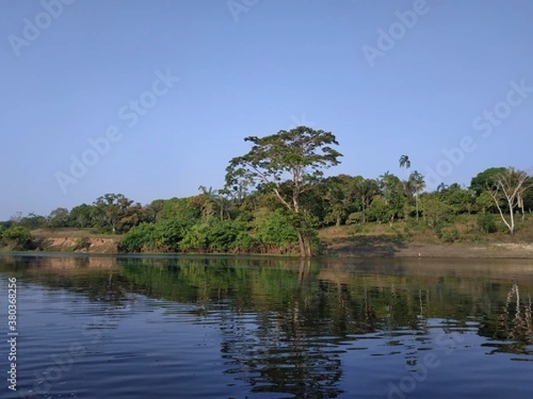 Obraz Amazônia, Brasil
