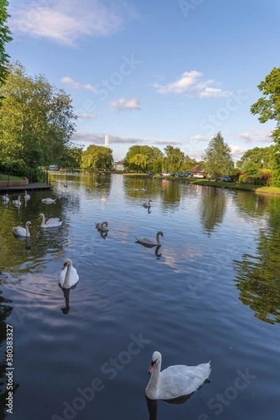 Fototapeta River Thames