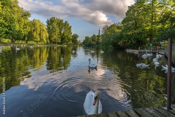 Fototapeta River Thames