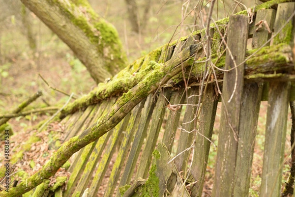 Obraz Chernobyl 2018