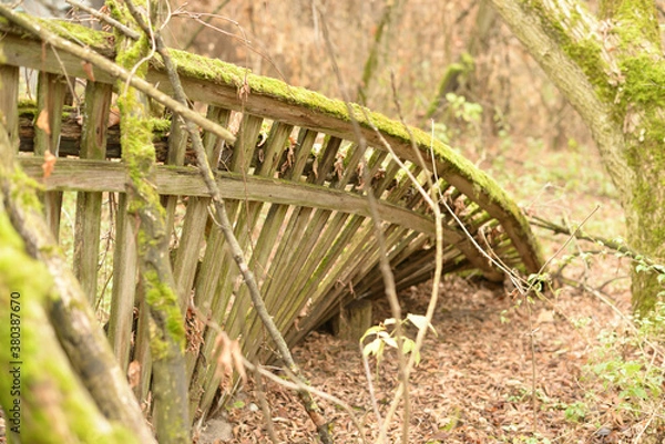 Obraz Chernobyl 2018