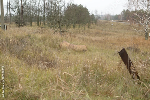 Obraz Chernobyl 2018